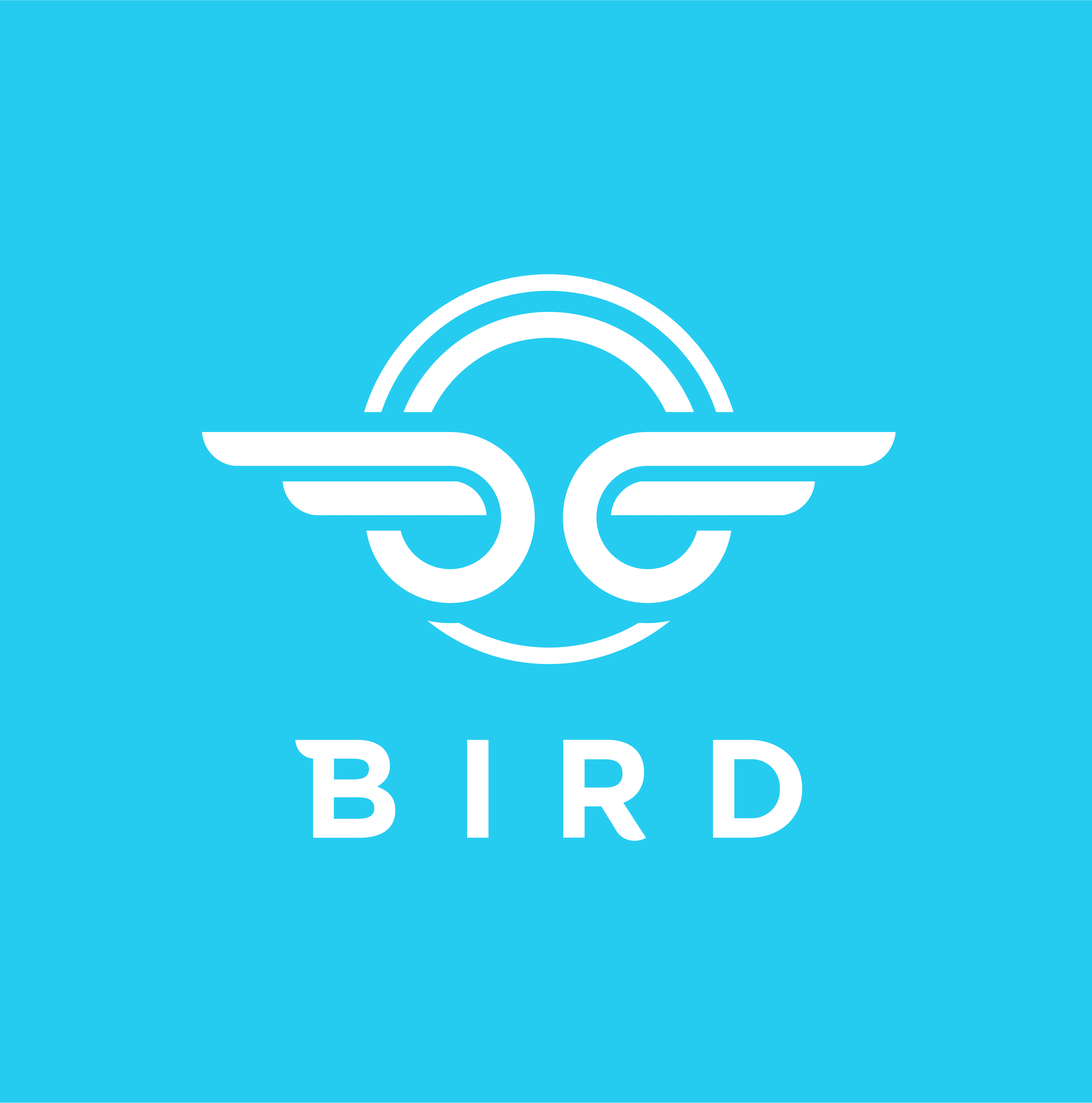Bird logo